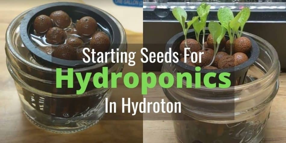 Гидропоника семена скачать тор браузер бесплатно с официального сайта hidra